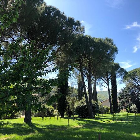 Gite Des Pins Saint-Maurice-dʼIbie Esterno foto