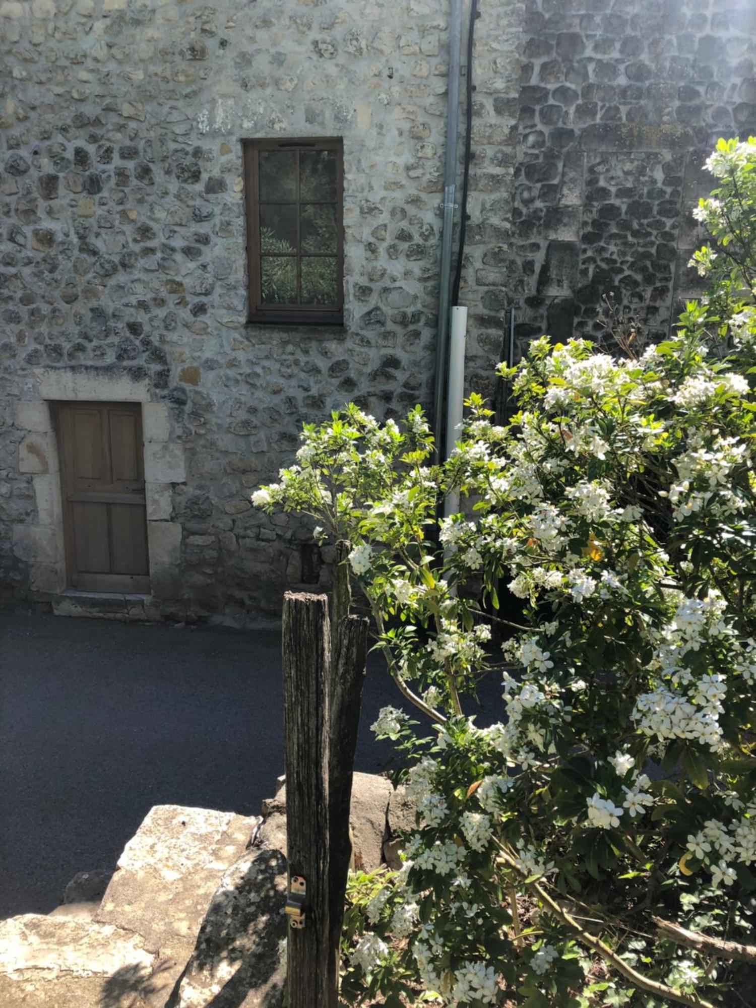 Gite Des Pins Saint-Maurice-dʼIbie Esterno foto