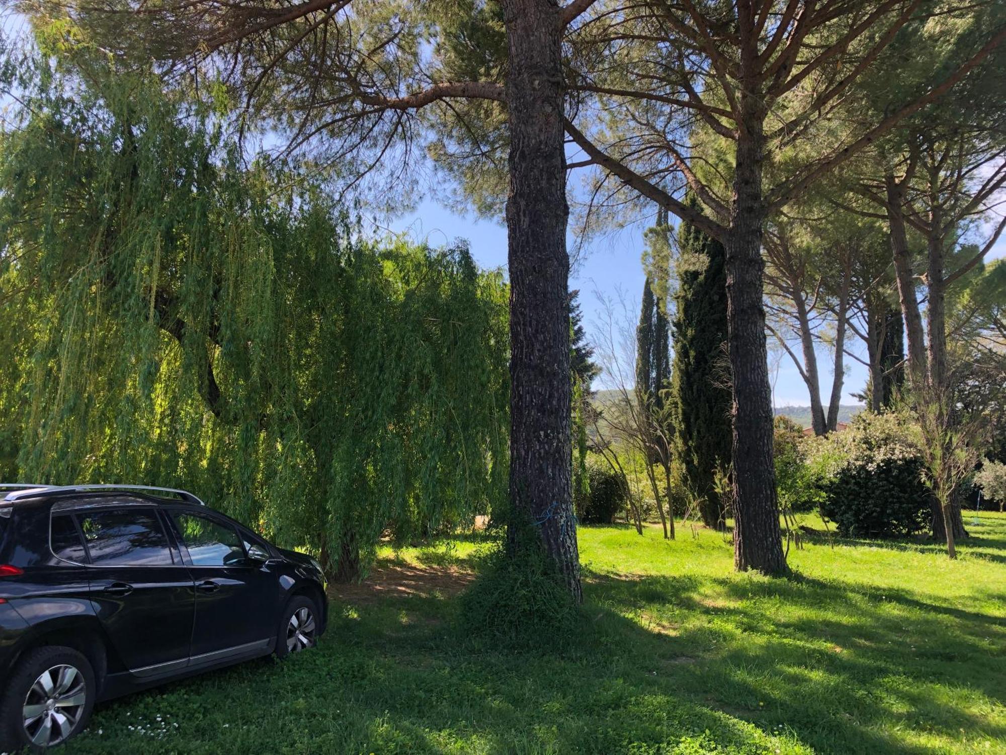 Gite Des Pins Saint-Maurice-dʼIbie Esterno foto