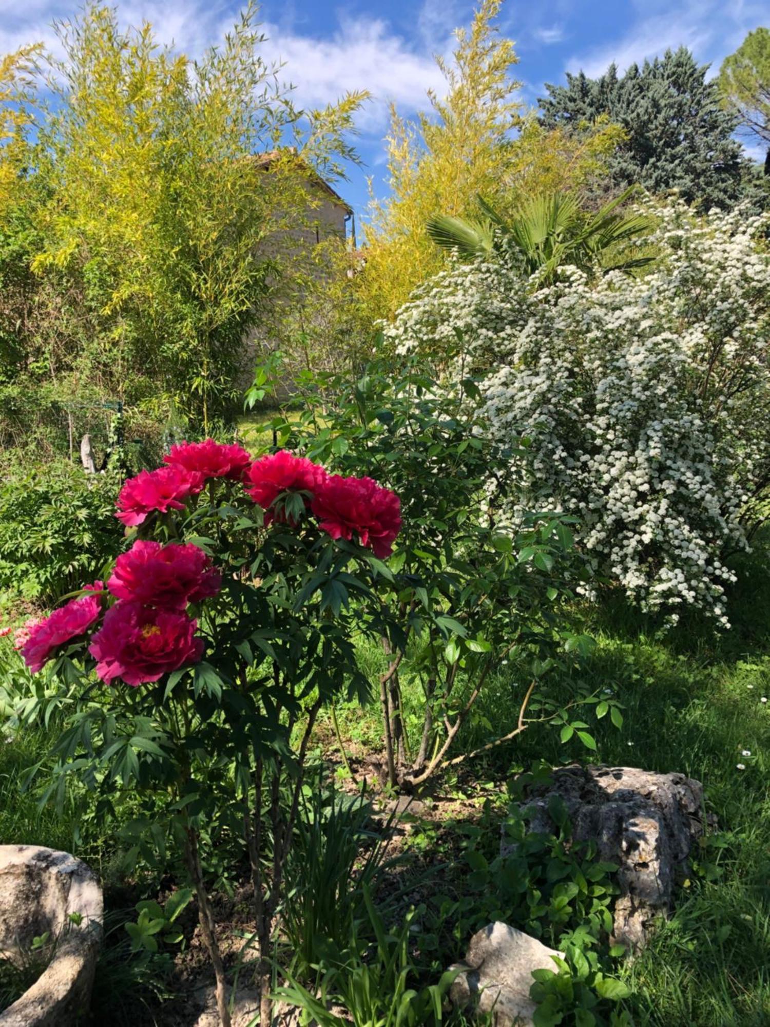 Gite Des Pins Saint-Maurice-dʼIbie Esterno foto